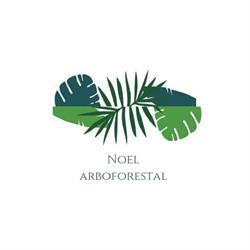 Tala, poda, Desbroce, limpieza de terreno, en jardineria Noel Zaragoza