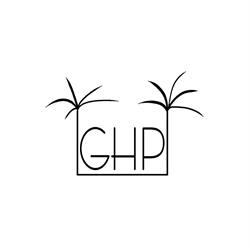 Guesthouse Palma