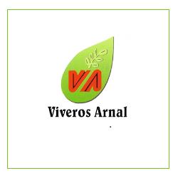 Viveros arnal, Cosuenda