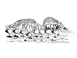 FINCA LOS CONVENTOS, Adamuz