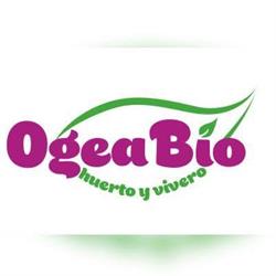 Ogeabio, Huerto y Vivero, Arlanzón