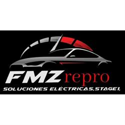 FMZrepro, Torrijos