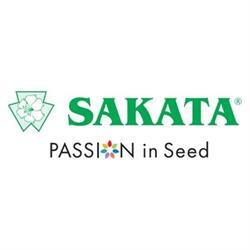 Sakata Seed Ibérica, Alboraya