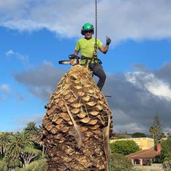 Aridane Díaz - Poda Canaria, Tasarte