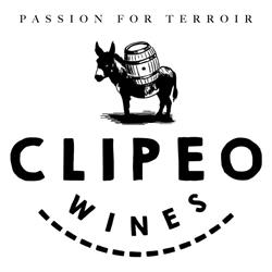Clipeo Wines, San Vicente de la Sonsierra
