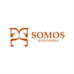 Somos Sporthorses, Ciudalcampo