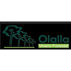 Viveros Olalla, Mingorría