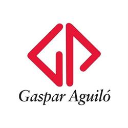Gaspar Aguiló Serveis Informàtics, Palma de Mallorca