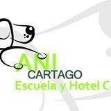 Anicartago, Las Palas