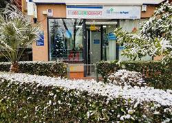 El Trébol De Papel, Fuenlabrada