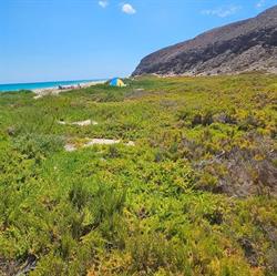 MS Property, Costa Calma