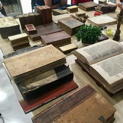 Biblioteca de los Libros Felices, Alicante