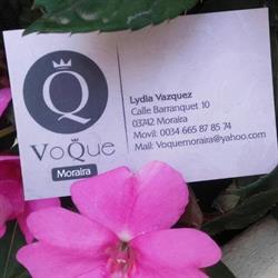 Voque Moraira