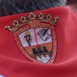 Peña Ciudad Deportiva Tudela