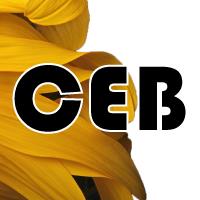 CEB by Pilar Cuñado - Centro de estética y bronceado, Sant Celoni