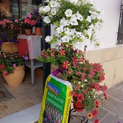 Nacota-jardin.simon, Bujalance
