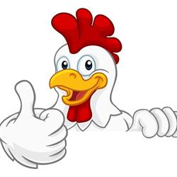 CHICKEN.Teruel