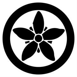 Kisei Dojo, Sevilla