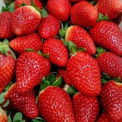 Frutas El Parque, Elche