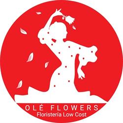Olé Flowers, Pinto