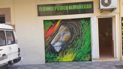Flower Power Almuñécar
