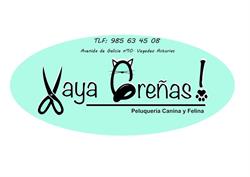 Vaya Greñas, Vegadeo