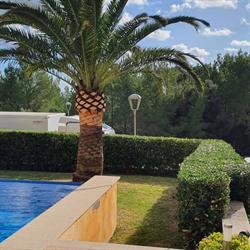 Jardineria Y Mantenimiento FADER, Alcudia