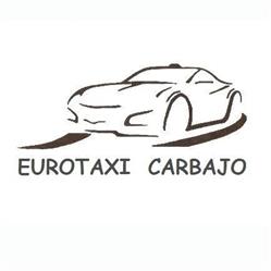 Eurotaxi Carbajo, Valderas