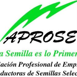 Aprose, Madrid