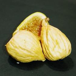 Deliconos, Cebolla