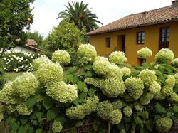 Apartamentos Padruno