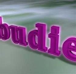 Bar Budie, Bilbao