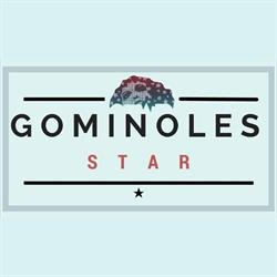 Gominoles Star Sant Vicenç dels Horts, Sant Vicenç Dels Horts