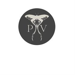 Patricia Vic, Avilés