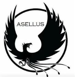 Pub Asellus, Dolores