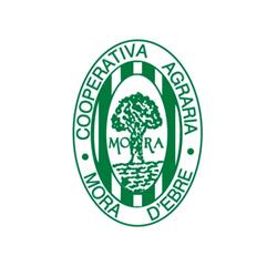 Agrària Sant Antoni Abad de Móra d'Ebre S.c.c.l., Mora d'Ebre
