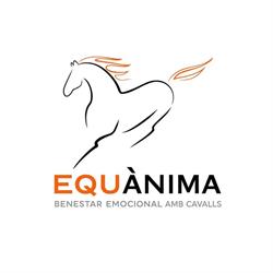 Equànima, La Seu d'Urgell