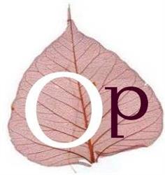 Oppida sostenible, Bilbao
