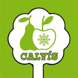 Hort Calvís, S.L., Golmés