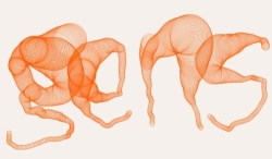 Associació Gens, Font-Rubi