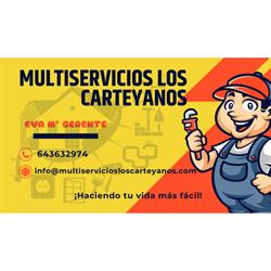 Multiservicios Los Carteyanos, Cartaya