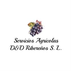 Servicios Agrícolas D&D Ribereños S.L, Roa