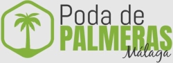 Poda de palmeras Malaga