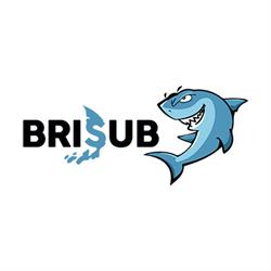 BRISUB, Arona