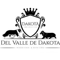 Corgi de Dakota, Polop