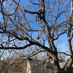 Dani Jardinero, Las Navas del Marqués