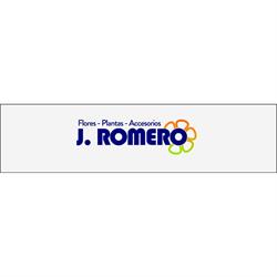 Flores Jose Romero, Sevilla