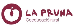 La Pruna. Coeducació rural, Avinyonet de Puigventos