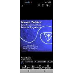 Nieves Zulaica. Terapeuta, Cogollos Vega