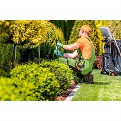 Jardineria Organika, Cabezón de la Sal